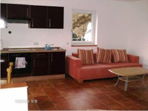 Full-size fridge, oven, stovetop, cookware/dishes/utensils