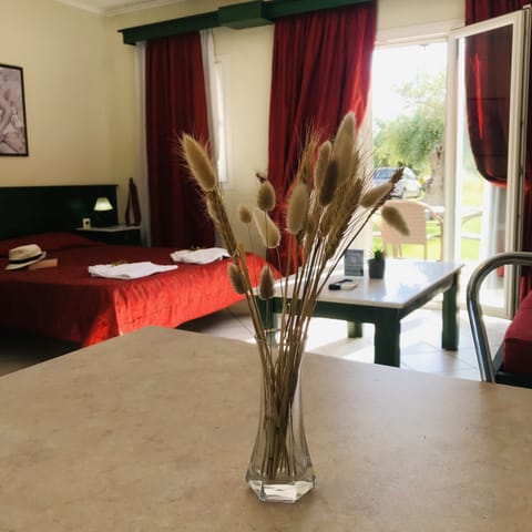 Basic Studio, 1 Double Bed with Sofa bed | 1 bedroom, in-room safe, individually decorated, blackout drapes