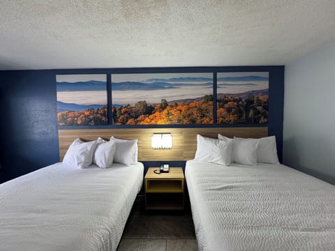 Desk, blackout drapes, iron/ironing board, free WiFi