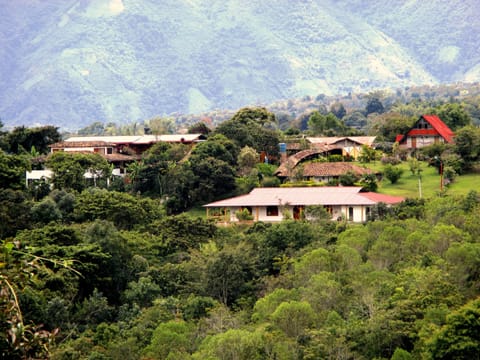 Standard Room, Mountain View | View from room
