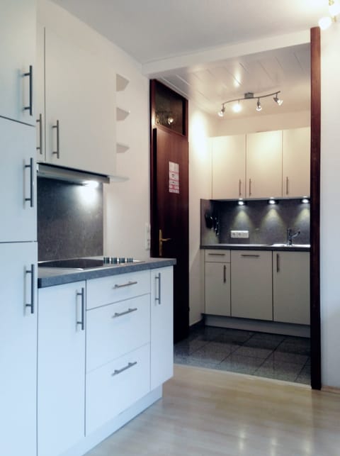 Apartment, 1 Bedroom, Balcony, Garden View | Private kitchen | Shared fridge, microwave, eco-friendly cleaning products