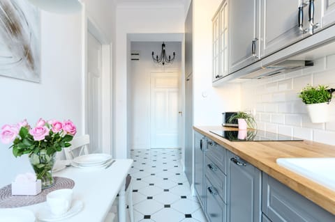 Deluxe Apartment, 1 Bedroom, Kitchen, River View | Private kitchen | Fridge, stovetop, dishwasher, espresso maker