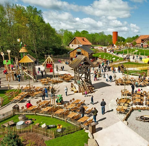 Children's activities