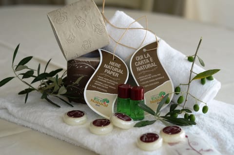 Shower, free toiletries, hair dryer, bidet