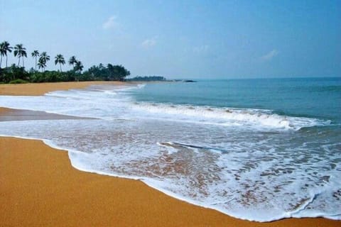 Beach nearby, free beach shuttle