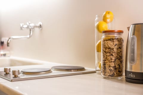 Luxury Apartment | Private kitchen | Fridge, microwave, oven, stovetop