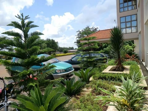 Free self parking