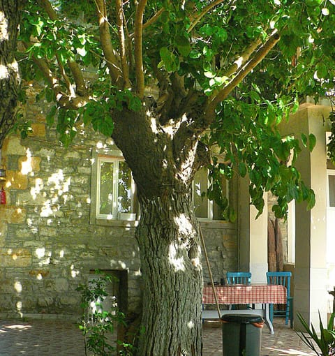 Standard Room, 1 Bedroom, Garden View, Annex Building | 1 bedroom, desk, laptop workspace, free WiFi