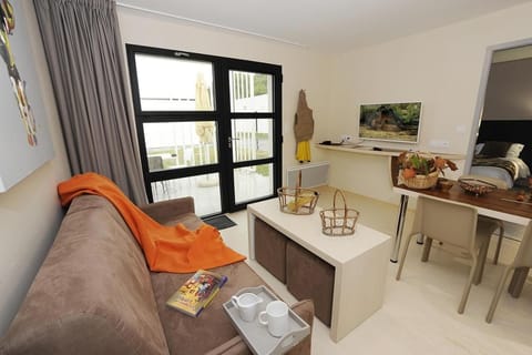 102-cm flat-screen TV with satellite channels