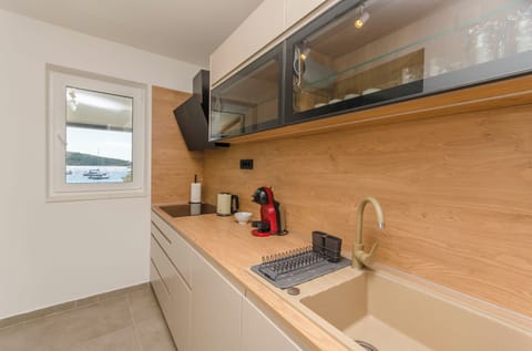 Apartment (A2) | Private kitchen | Fridge, oven, stovetop, espresso maker