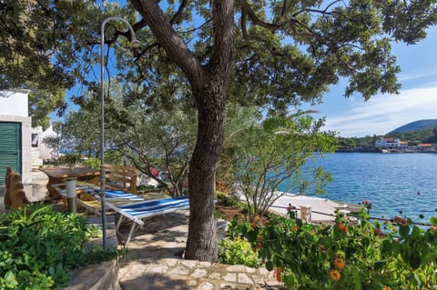 House | Terrace/patio