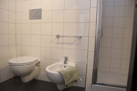 Shower, hair dryer, bathrobes, bidet