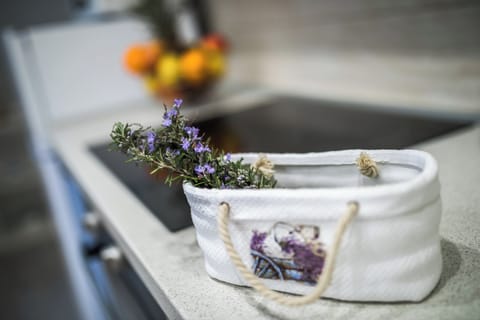 Studio (Apartments Sunshine Home - Studio Apa) | Private kitchen | Stovetop, toaster