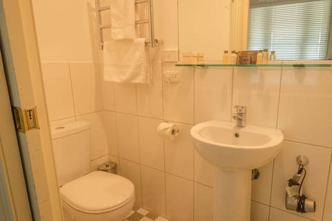 Brown Room | Bathroom | Shower, eco-friendly toiletries, hair dryer, bathrobes