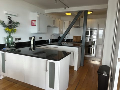 Penthouse Apartment (Penthouse 1) | Private kitchen | Fridge, microwave, oven, stovetop