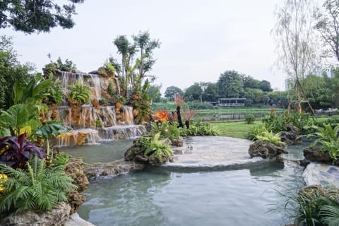 River View | View from room