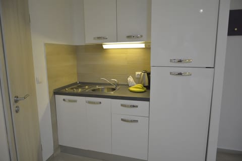 Family Apartment, Balcony, Sea View | Private kitchen | Fridge, oven, stovetop, toaster
