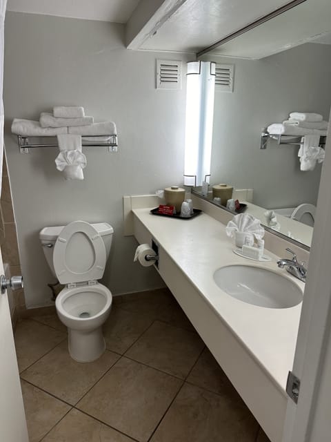 Combined shower/tub, free toiletries, hair dryer, towels