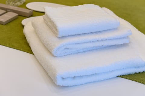 Shower, rainfall showerhead, designer toiletries, hair dryer