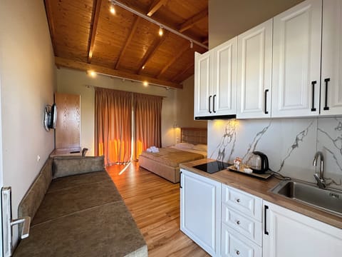 Deluxe Double Room, Balcony, Garden View | Private kitchen | Fridge, stovetop, freezer, paper towels