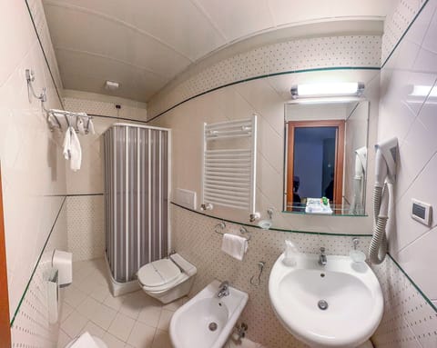 Shower, free toiletries, hair dryer, bidet