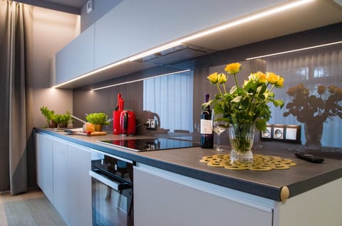 Junior Apartment | Private kitchenette | Mini-fridge, stovetop, electric kettle, griddle