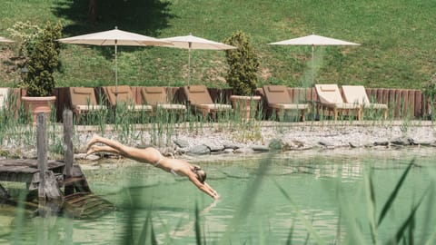 Seasonal outdoor pool, a natural pool, sun loungers