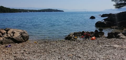 Apartment (A2) | Beach | Beach nearby