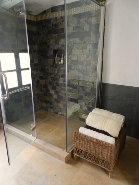Master Suite | Bathroom shower