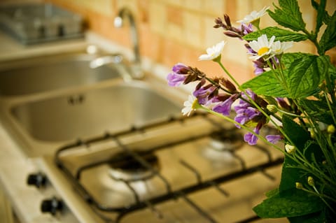Full-size fridge, oven, stovetop, coffee/tea maker