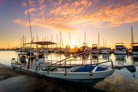 Marina