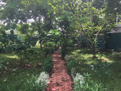 Family Villa | Garden view