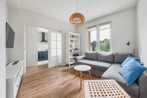 Apartment (6) | Living room | 30-inch flat-screen TV with digital channels, TV