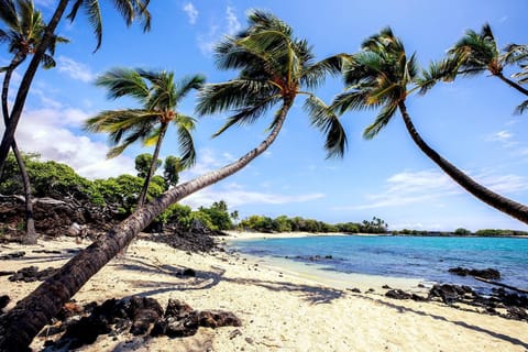 Condo, Multiple Beds (Kona Pacific A102) | Beach | On the beach