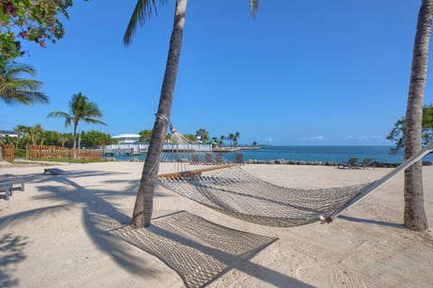 Private beach, sun loungers, beach towels, kayaking
