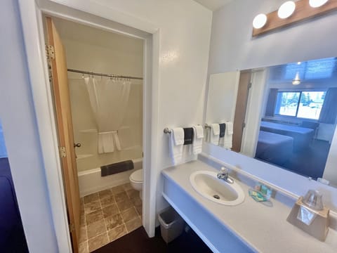 Combined shower/tub, free toiletries, hair dryer, towels