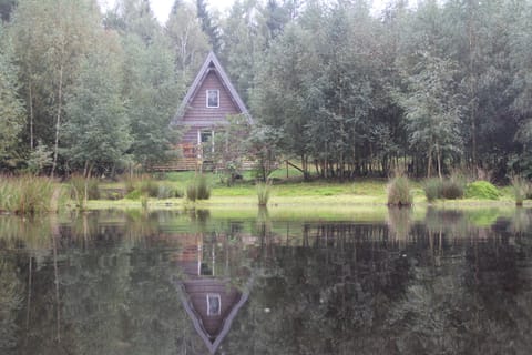 Signature Cabin, 2 Bedrooms, Jetted Tub | View from room