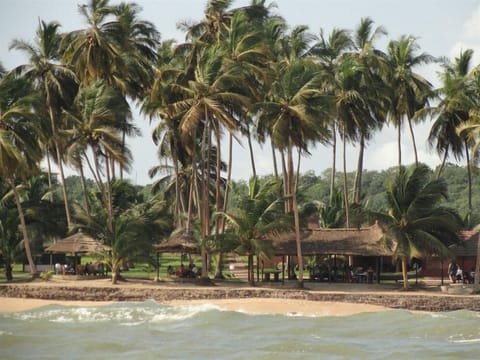 On the beach, sun loungers