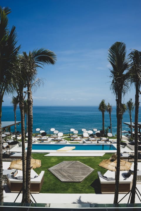 Outdoor pool, sun loungers