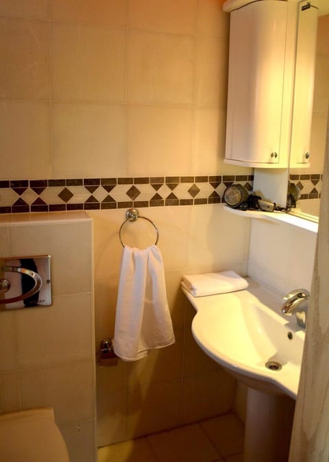 Shower, hydromassage showerhead, hair dryer, towels