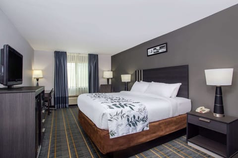 Standard Room, 1 King Bed | In-room safe, desk, iron/ironing board, free WiFi