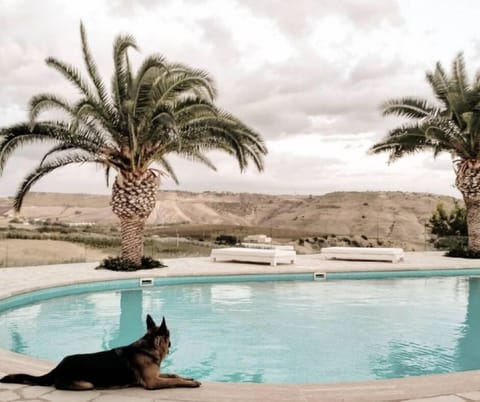 Seasonal outdoor pool, open 10:30 AM to 6:00 PM, sun loungers