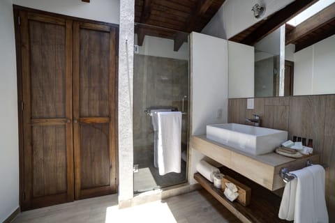 Shower, free toiletries, hair dryer, towels