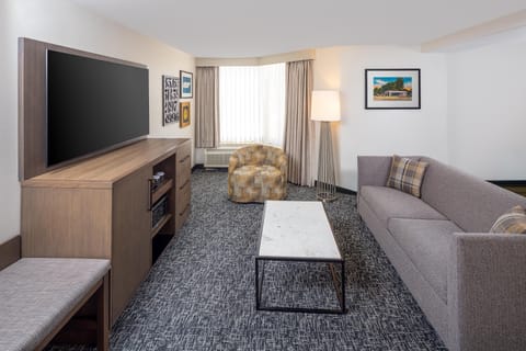 Junior Suite, 1 King Bed, Non Smoking | Living area | 42-inch flat-screen TV with cable channels, TV, pay movies