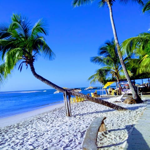 Beach nearby, beach bar