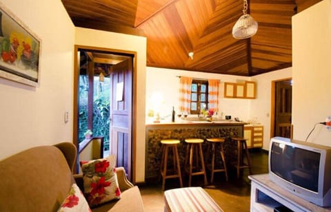 Romantic Double Room (Chalé Passarinho) | Living room | 32-inch flat-screen TV with cable channels, TV, fireplace