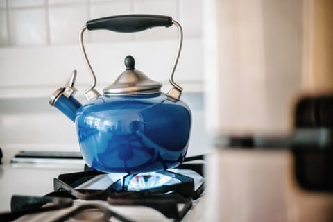 Fridge, microwave, coffee/tea maker, highchair