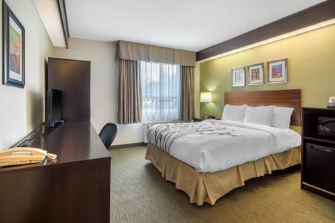 Desk, soundproofing, iron/ironing board, free WiFi