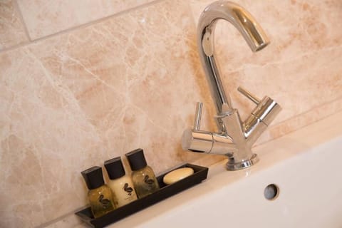 Classic Double Room | Bathroom | Shower, rainfall showerhead, free toiletries, hair dryer