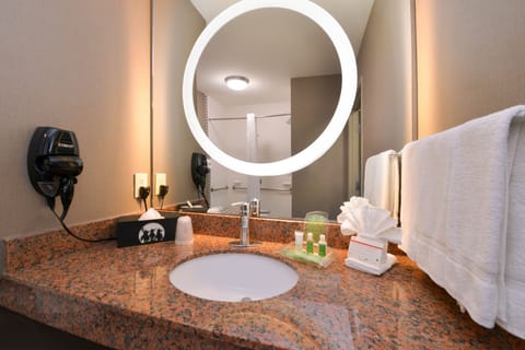 Combined shower/tub, free toiletries, hair dryer, towels